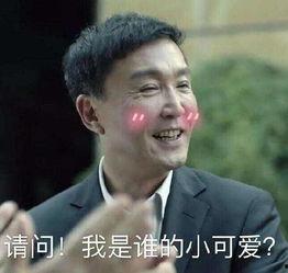 人民的名义搞笑结论,笑谈反腐风云，揭秘官场百态